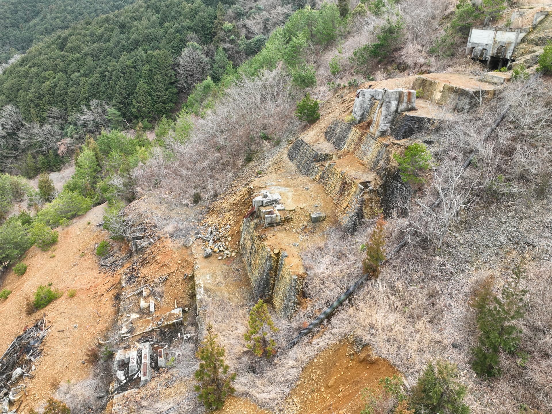 宗義調へ「対州鉱山の開発を支援しよう」