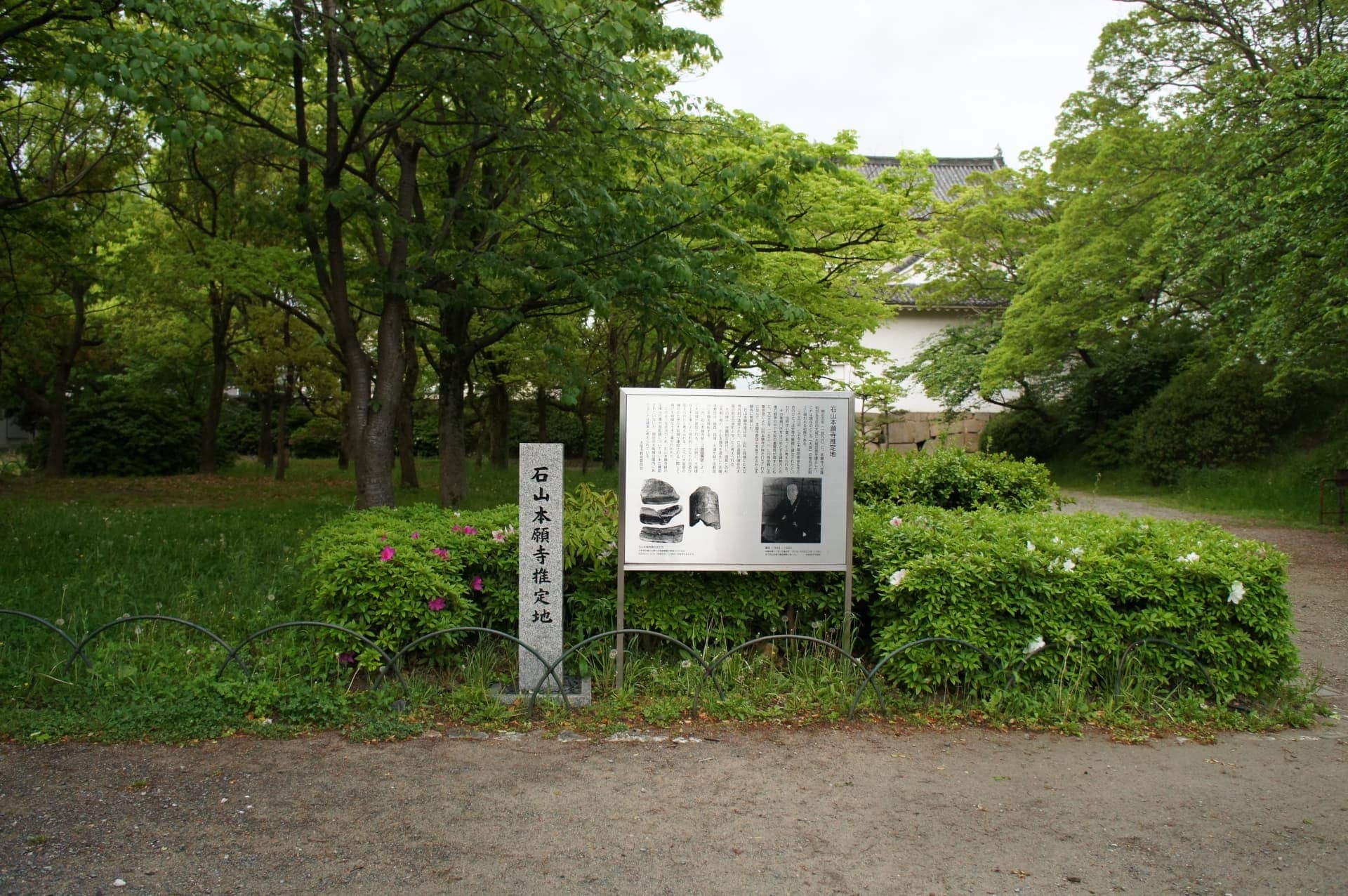 石山本願寺坊官下間頼廉、和睦条件の緩和に挑む。