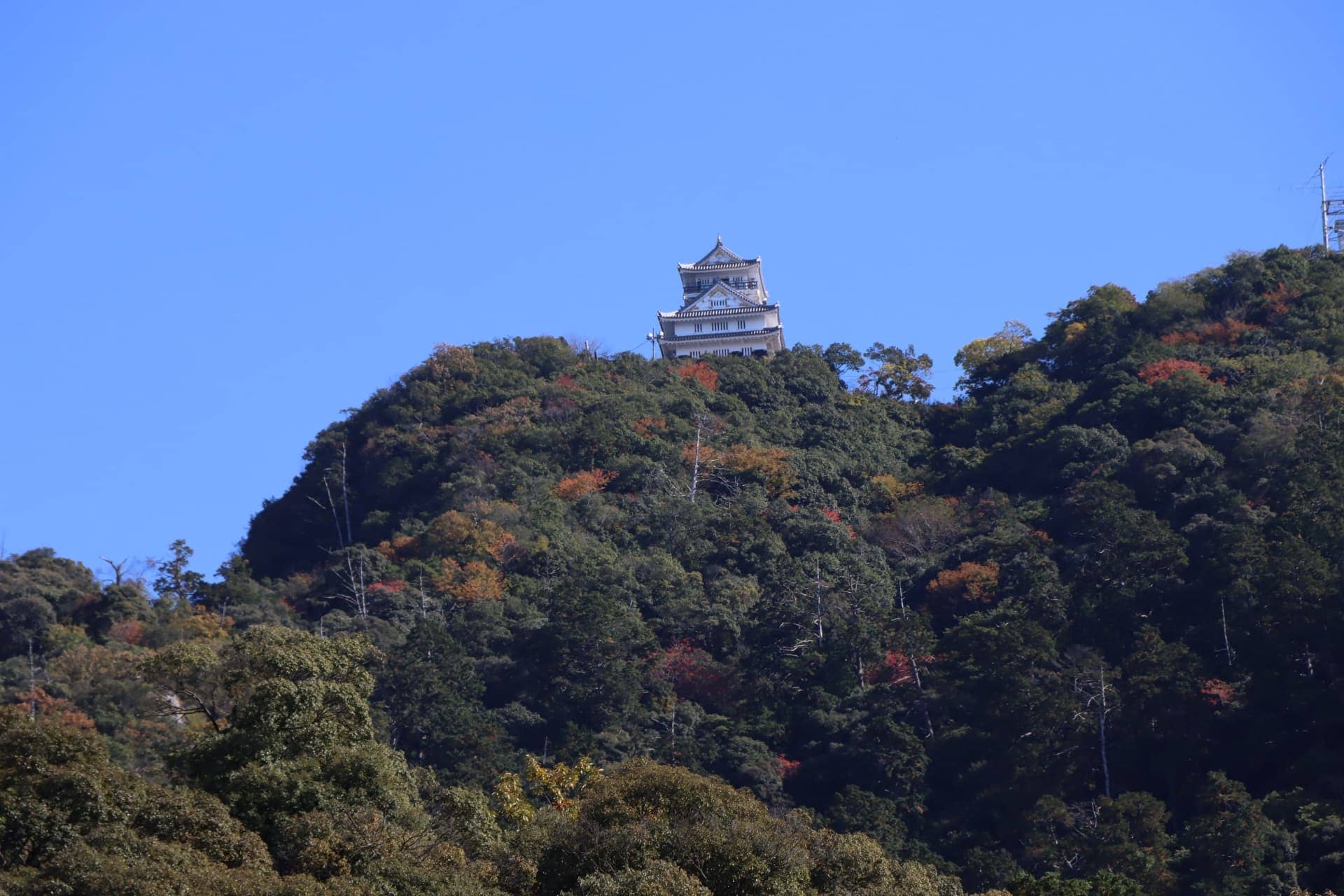 孤立無援に四面楚歌　徳川家康vs.曽根虎盛
